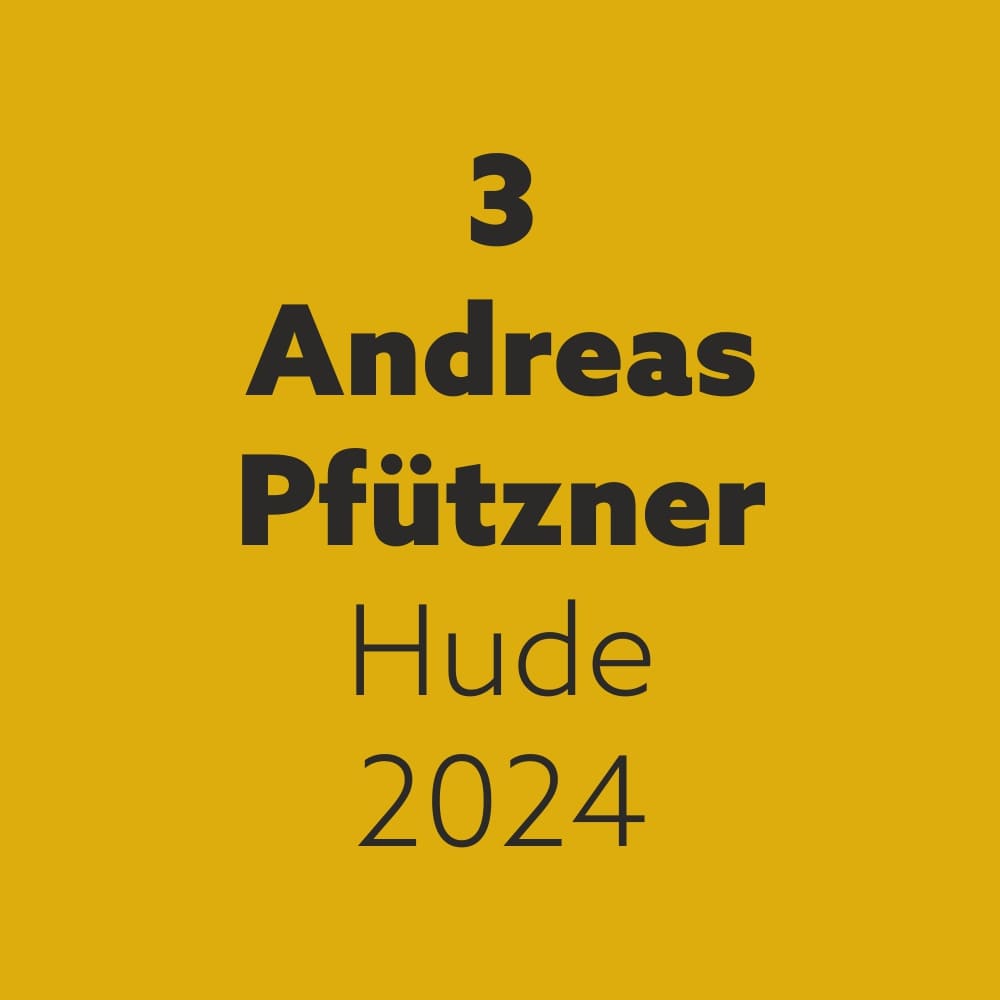Andreas Pfützner
